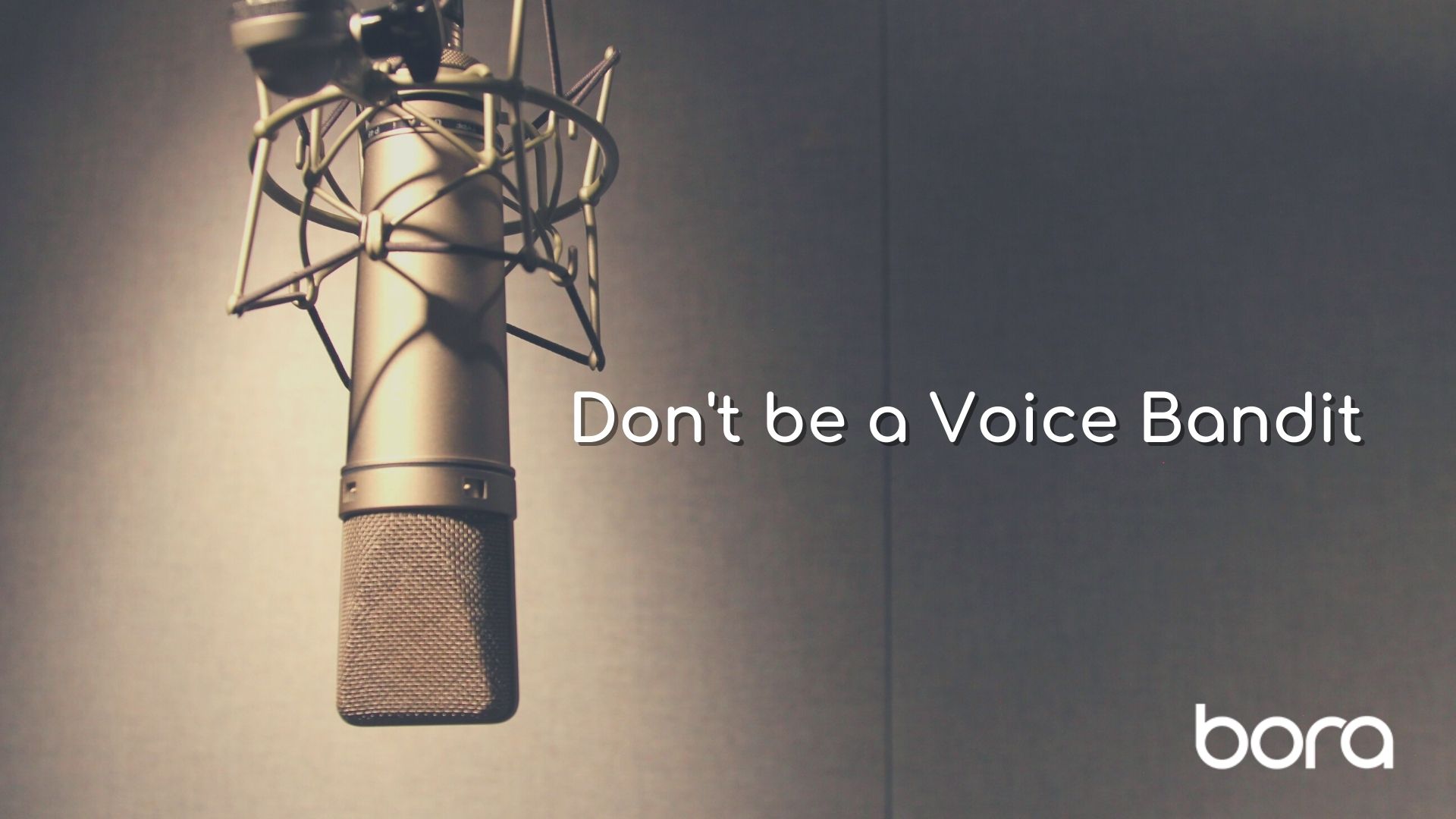 Don’t be a Voice Bandit – How to Edit Professional Writing