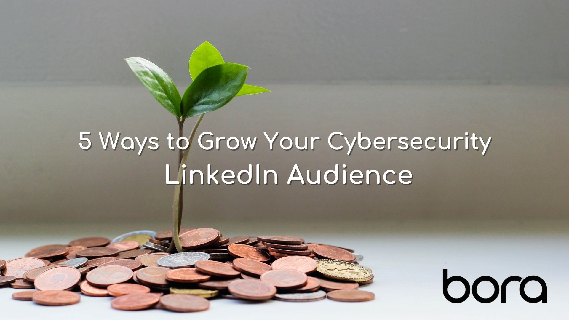 5 Ways to Grow Your Cybersecurity LinkedIn Audience